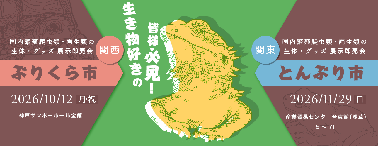 ぶりくら市 とんぶり市